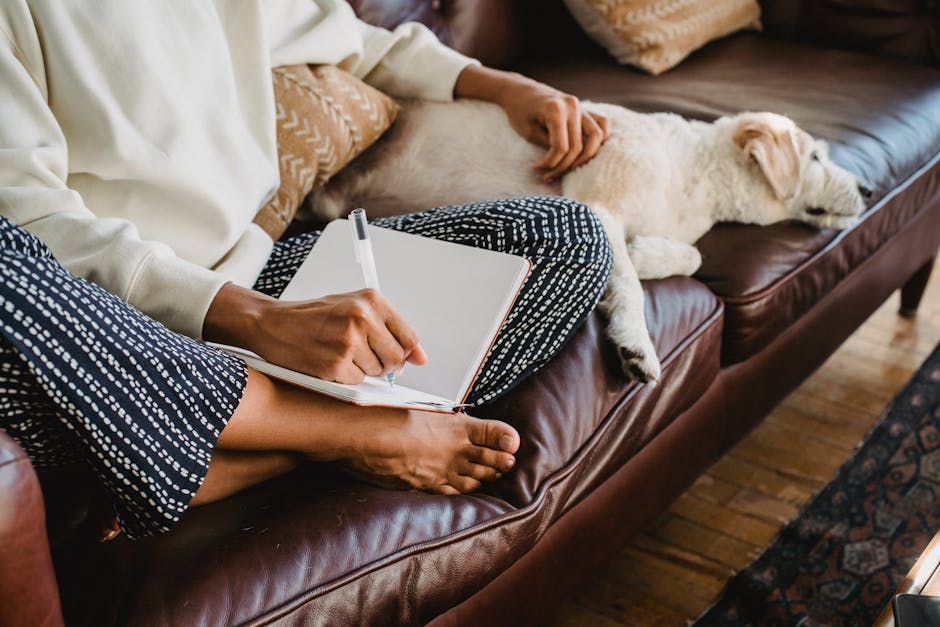 High angle of crop unrecognizable barefooted lady taking notes in planner while sitting on comfortable leather sofa and petting adorable dog