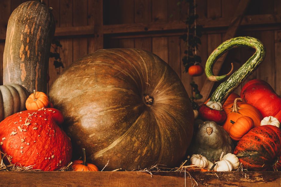 Roasted Pumpkin Seeds: 4 Seasonings That Stay Crunchy